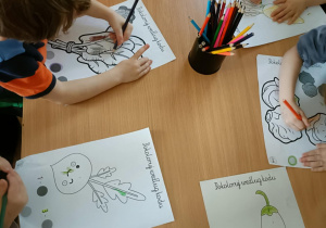Dzieci kolorują obrazek przedstawiający zdrowe produkty żywnościowe według kodu.